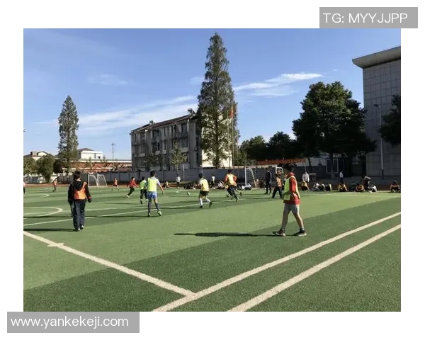 在绿茵场上闪耀的星光与梦想的交响曲